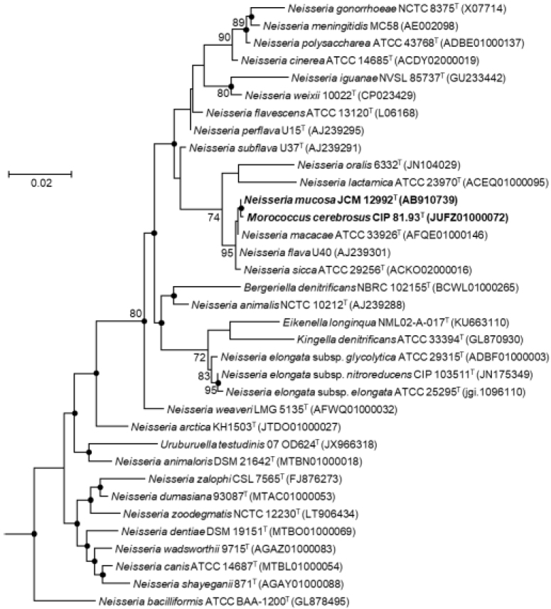 Figure 1.